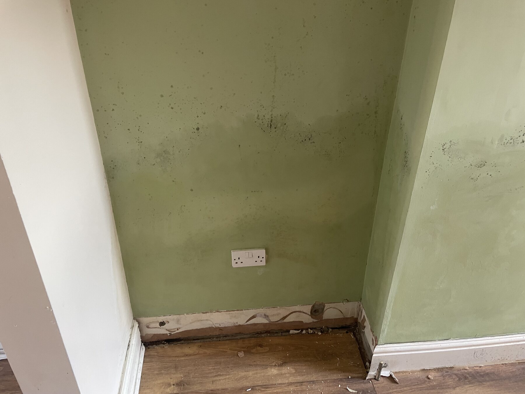 Mould and damp staining across a plasterboard wall in a living room