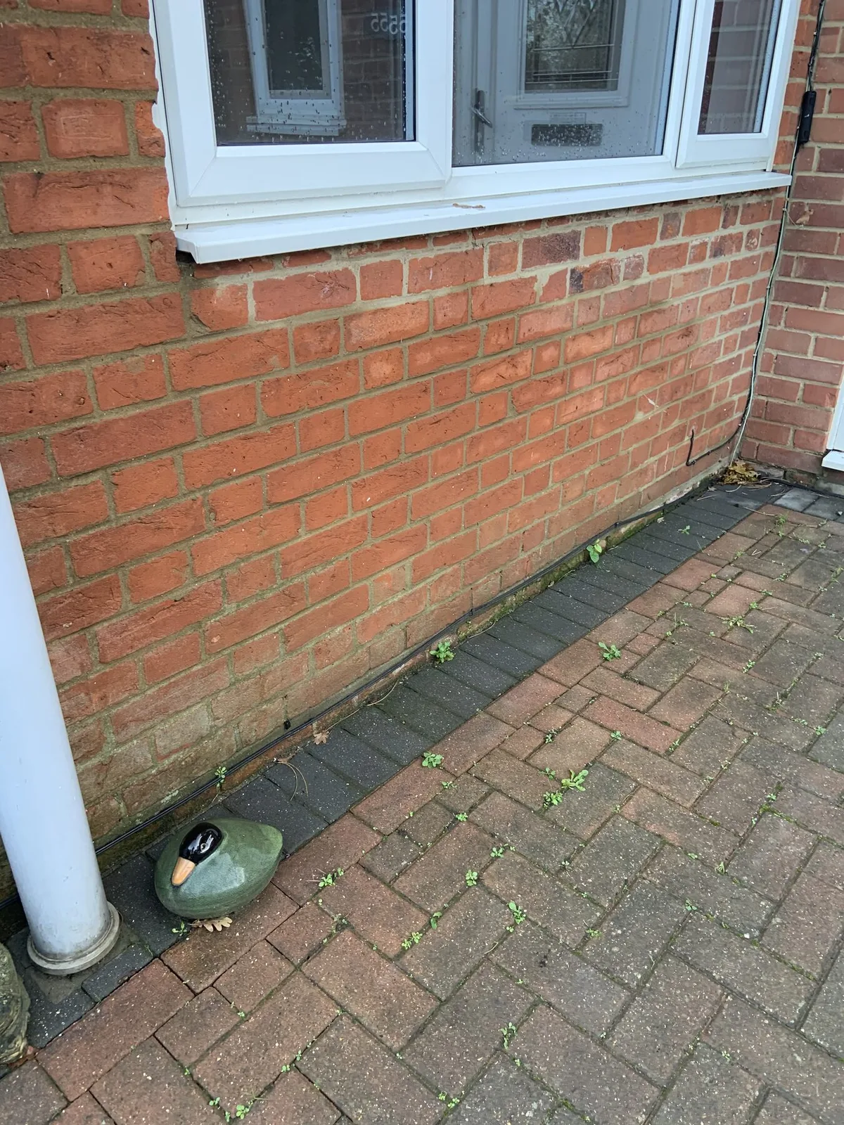 External wall at ground level showing water ingress point near paving