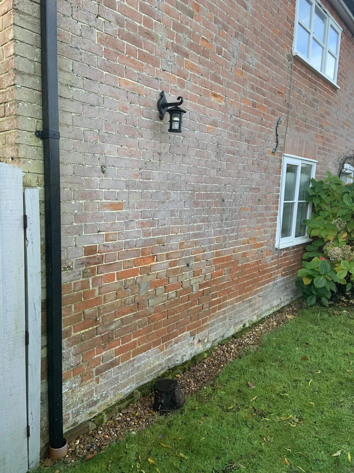 Older brick cottage wall showing moisture staining and failed pointing on lower courses