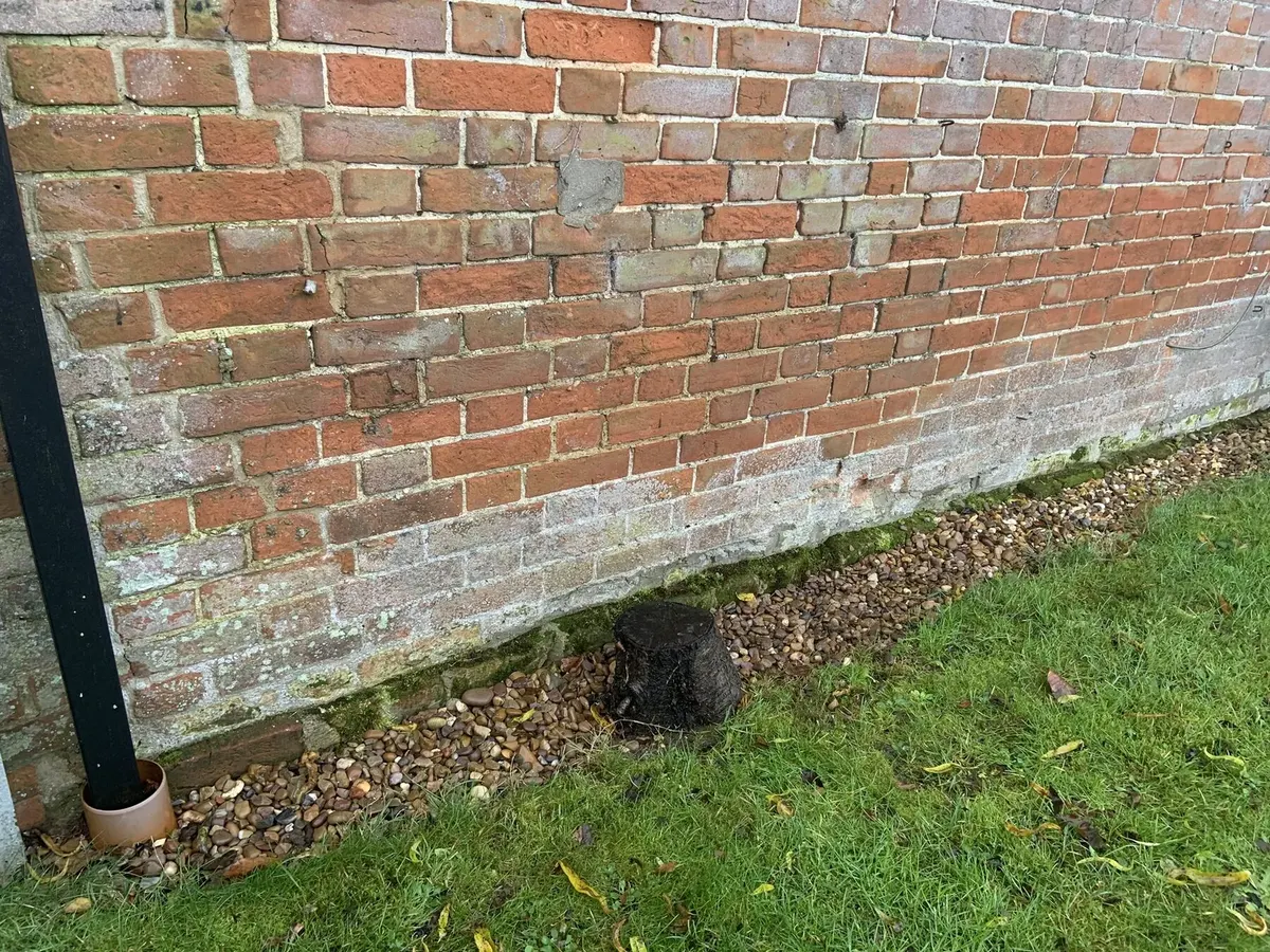 White salt efflorescence staining at the base of an external brick wall