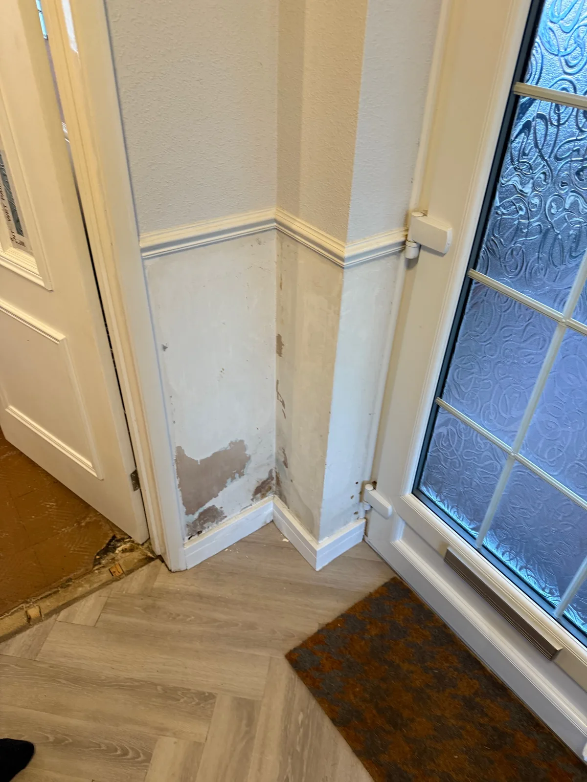 Rising damp damage — peeling paint and plaster at the base of a wall