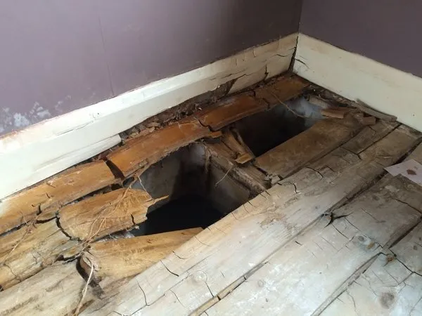 Collapsed floorboards caused by severe dry rot damage