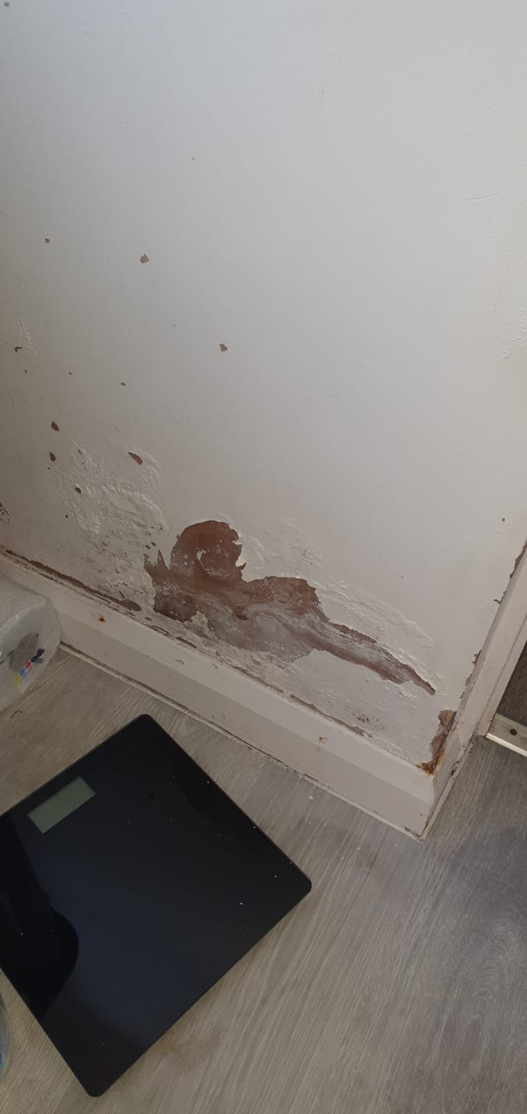 Damp damage and staining at skirting board level on a ground-floor wall