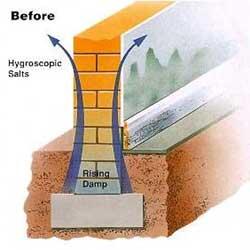 Before: Rising damp and hygroscopic salts bypassing failed DPC