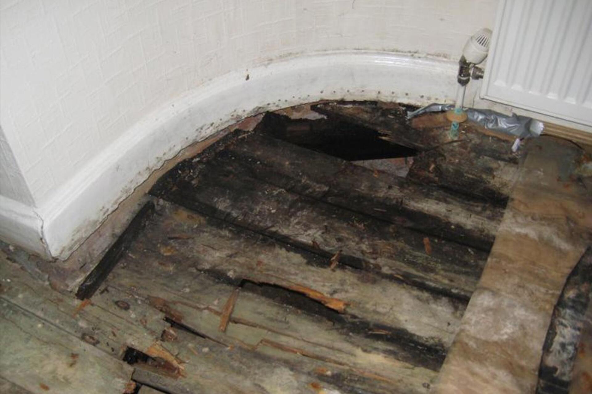 Dry rot damage to floor near radiator caused by moisture ingress