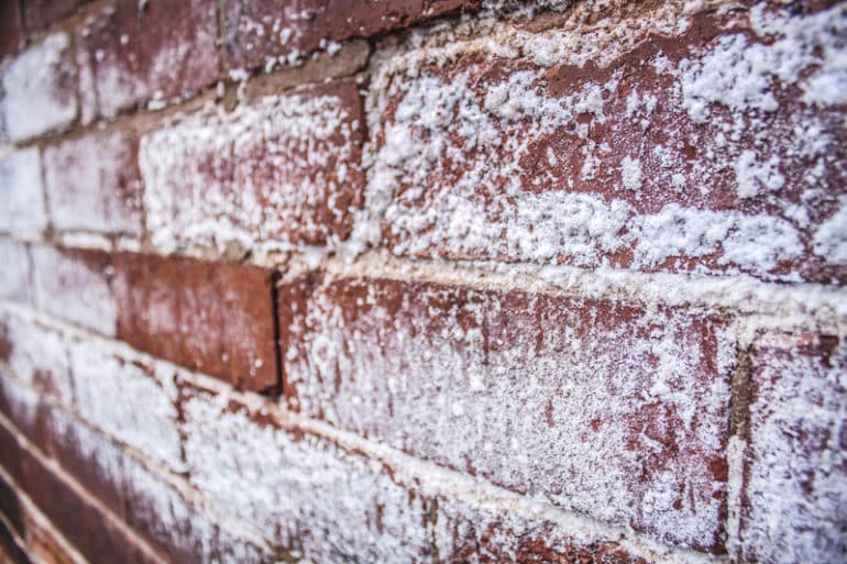 Hacking off salt contaminated plaster