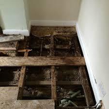 Wet rot damaged floor joists requiring replacement