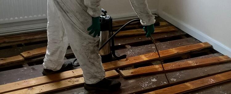 Timber treatment specialist